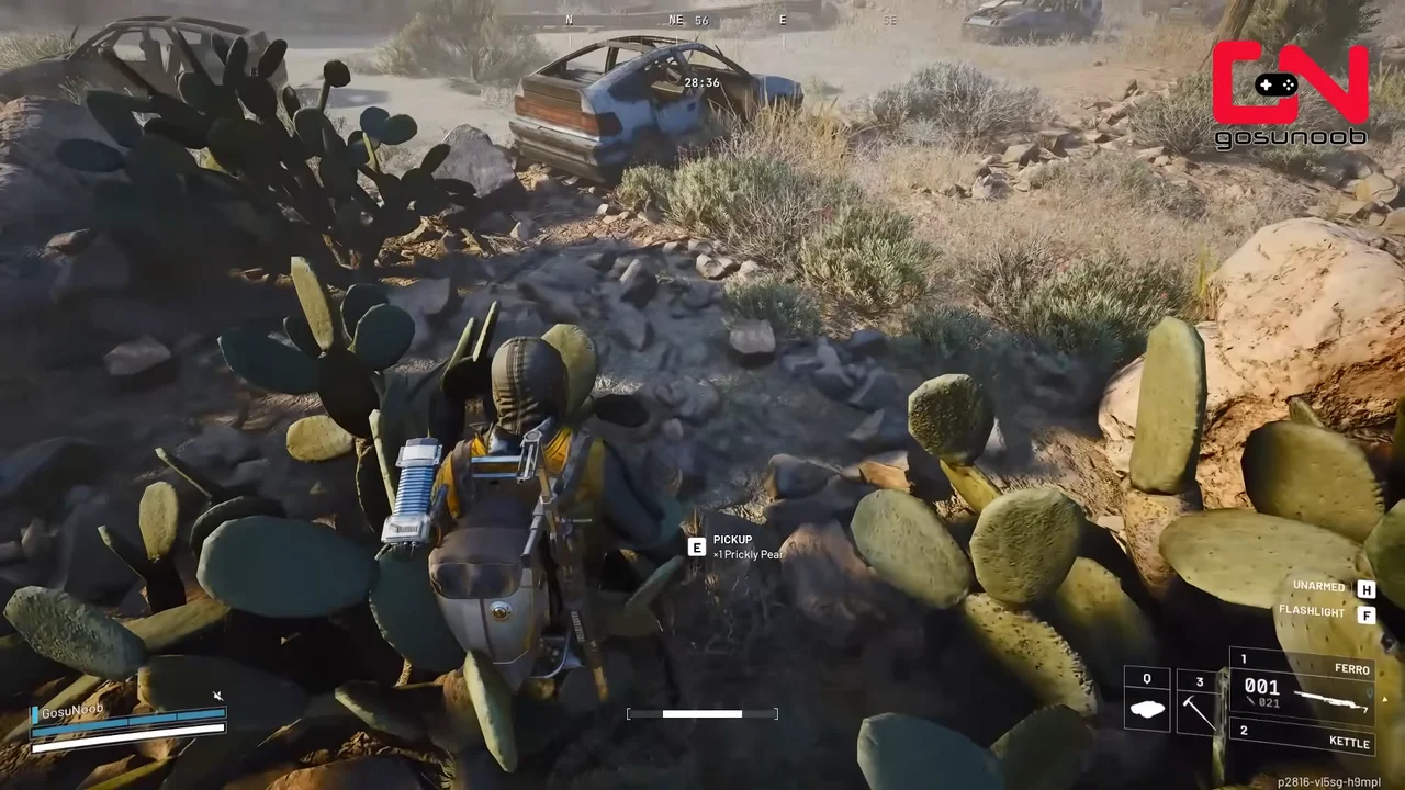 ARC Raiders Dam Battlegrounds native PICKUP x1 Prickly Pear prompt among cactus plants