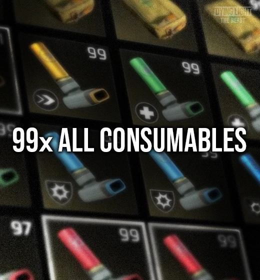 Buy Dying Light The Beast Max Consumables