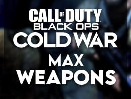 COD: Cold War All Weapons Max Level