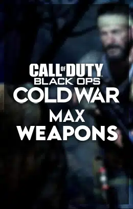 codboCWmaxweapons