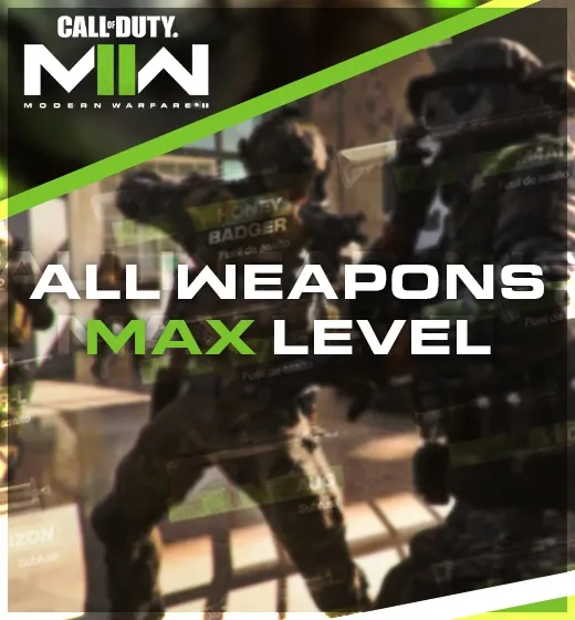 MW2: All Weapons Max Level