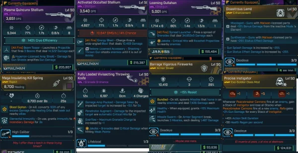 Character screen of Rafa build in Borderlands 4 showing skill tree allocations, equipped weapons, shields, class mods, and enhancement layout.