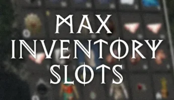 Buy Crimson Desert Max Inventory Slots