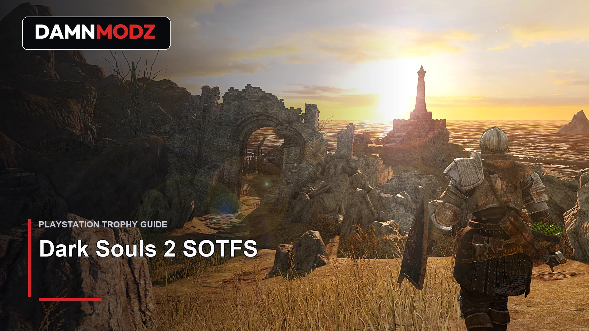 Dark Souls 2 SOTFS PlayStation trophy guide thumbnail by DamnModz